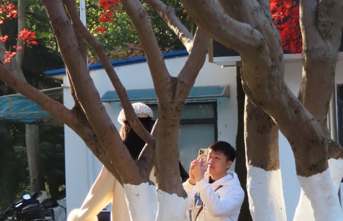 迷醉在冬日的暖阳中