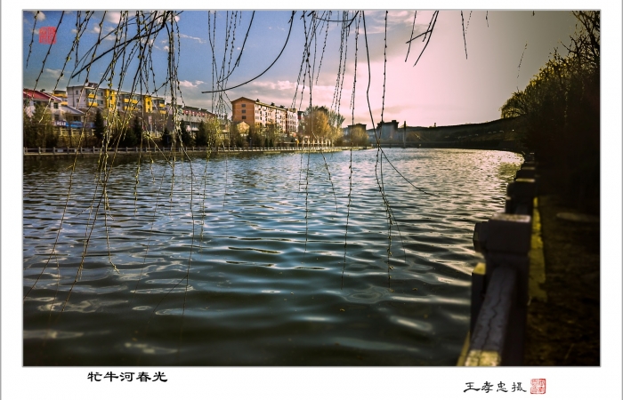 牤牛河春光