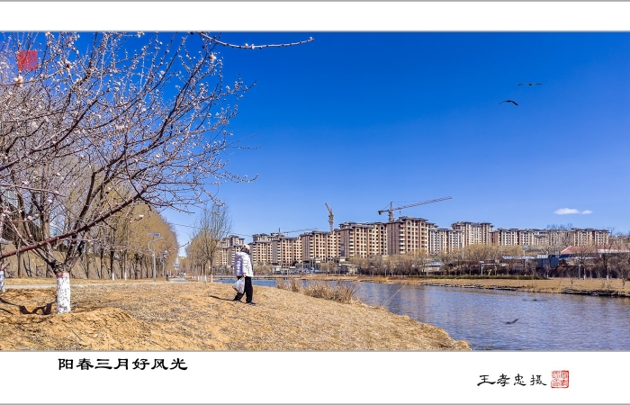 阳春三月好风光