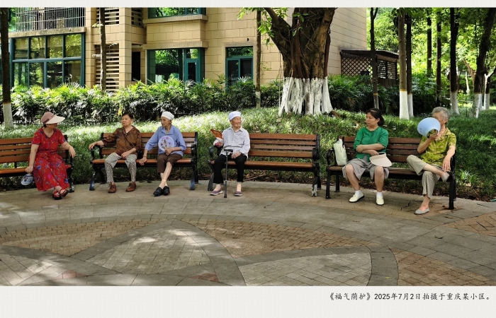 《福气荫护》
